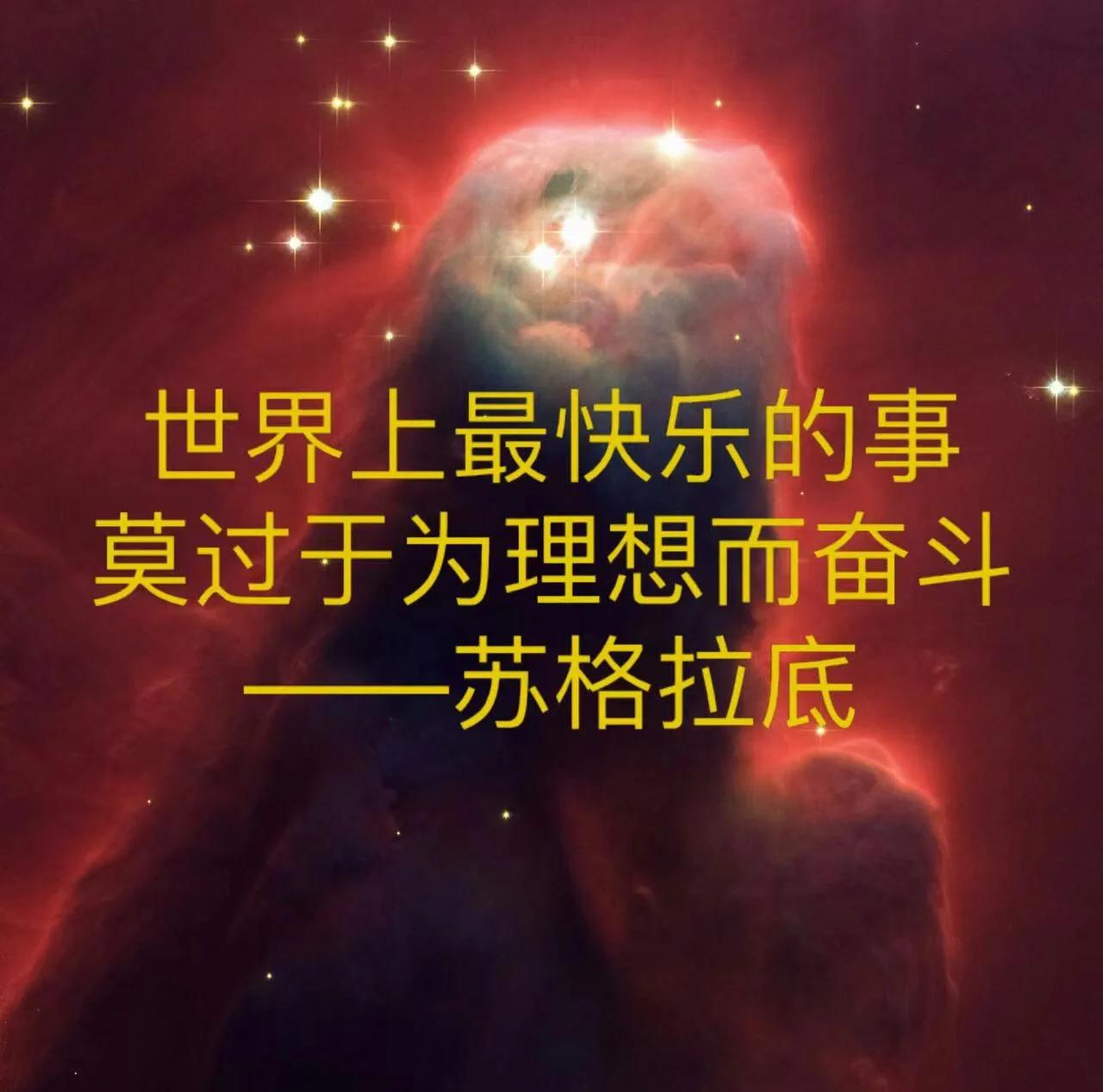 包含执着追梦的奋力拼搏，感动世界的词条